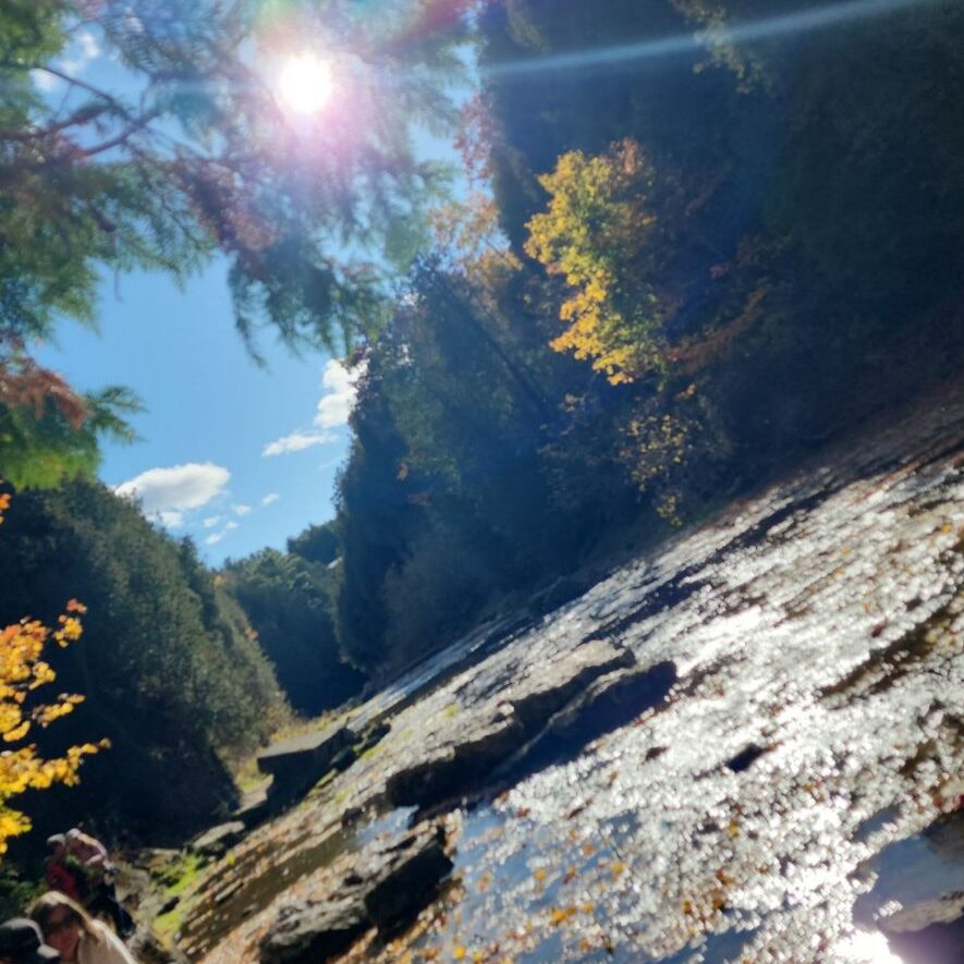 image0000001 4