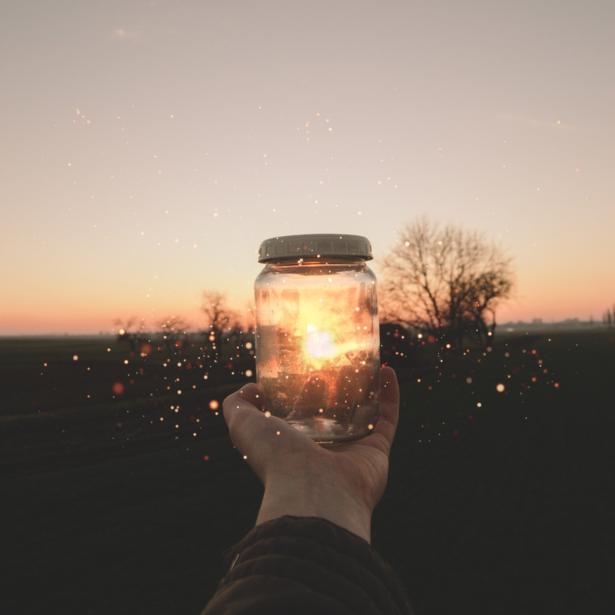 milan-popovic-YjN1l87BUOk-unsplash milan-popovic-YjN1l87BUOk-unsplash